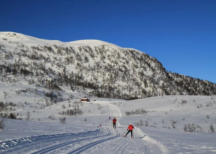 Fjordapartments * Balestrand